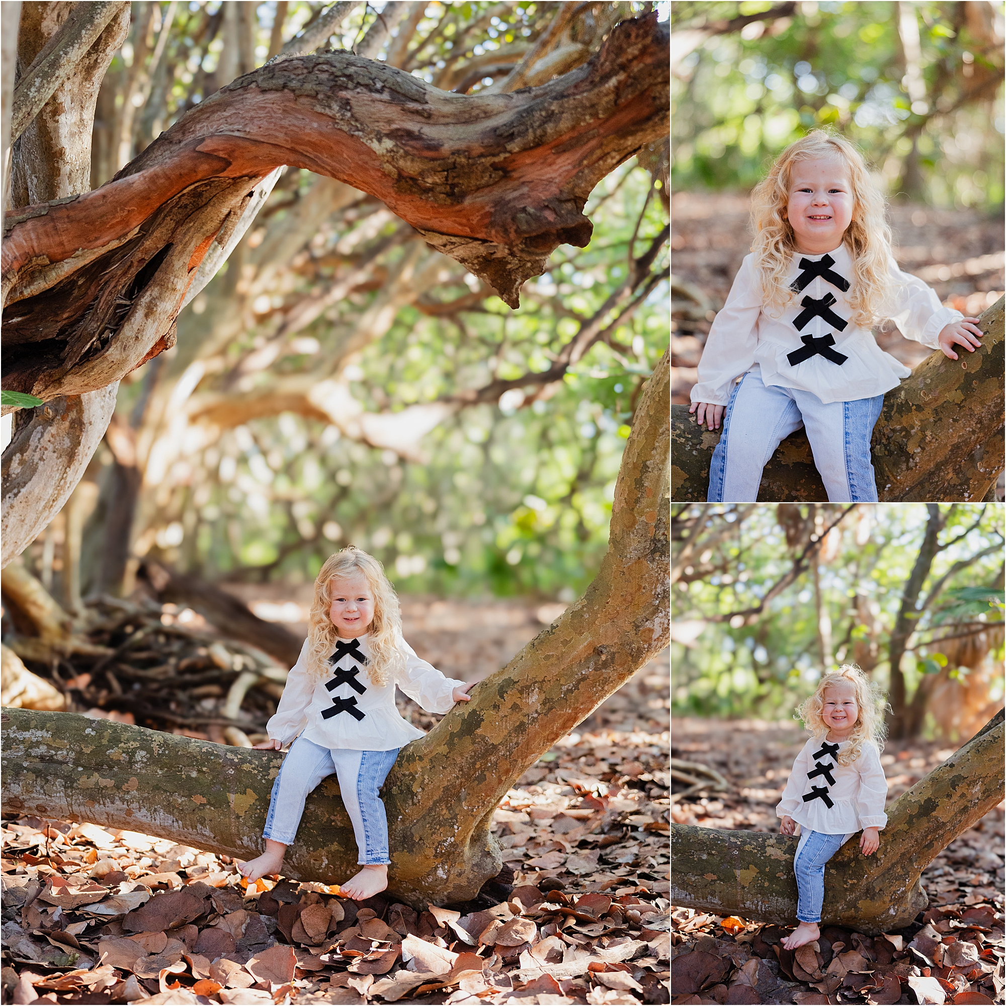 palm beach family photographer